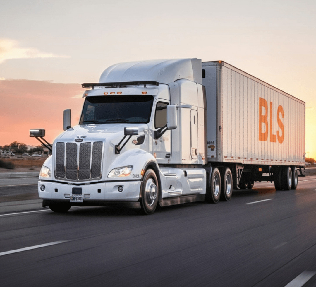 BLS FW Services