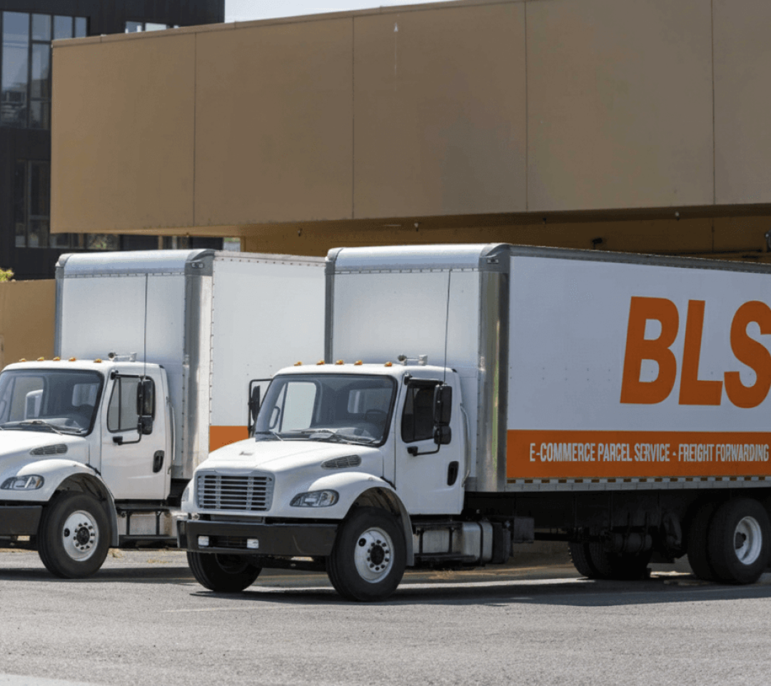 BLS Pickup services